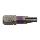 Big Timber T20 x 1in Star Drive Insert Bit