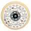 3M Clean Sand Low Profile Back Up Pad 5in