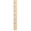Century Solid Maple Pilaster - 1" W x 28" H